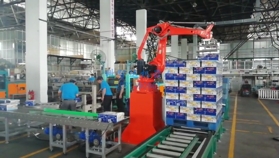 紙箱碼垛機(jī)器人(圖1)